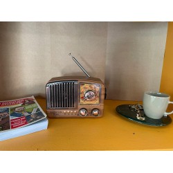 Everton RT-360 Radyo