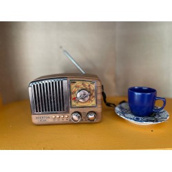 Everton RT-360 Radyo
